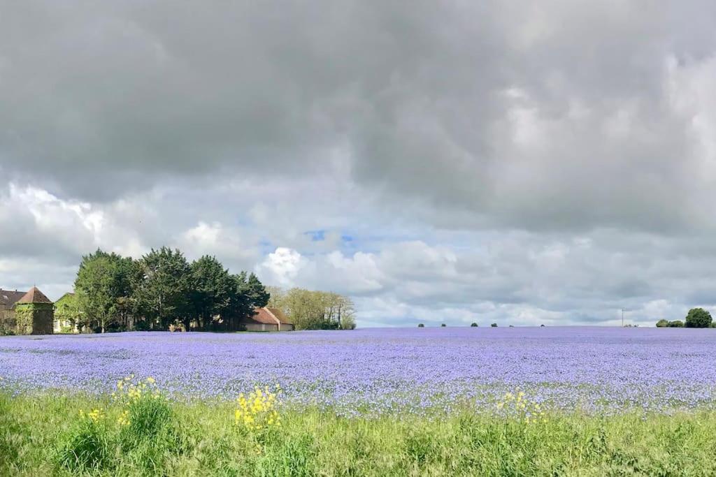 La Cachette - Gite 'Cosy' A Magny Cours Villa Kültér fotó